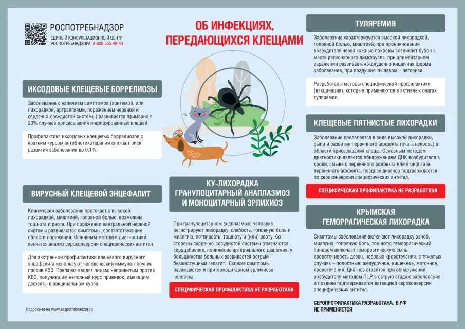 Информационное сообщение